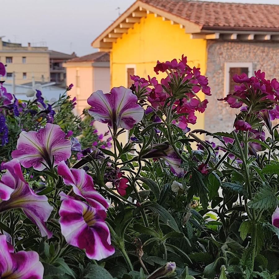 Lovely Casa Paola Villlafranca Centro Zimmer Rooms Villafranca di Verona Εξωτερικό φωτογραφία